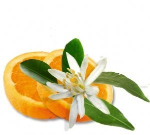 fleur-oranger